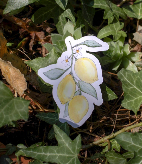 CITRONS - sticker géant