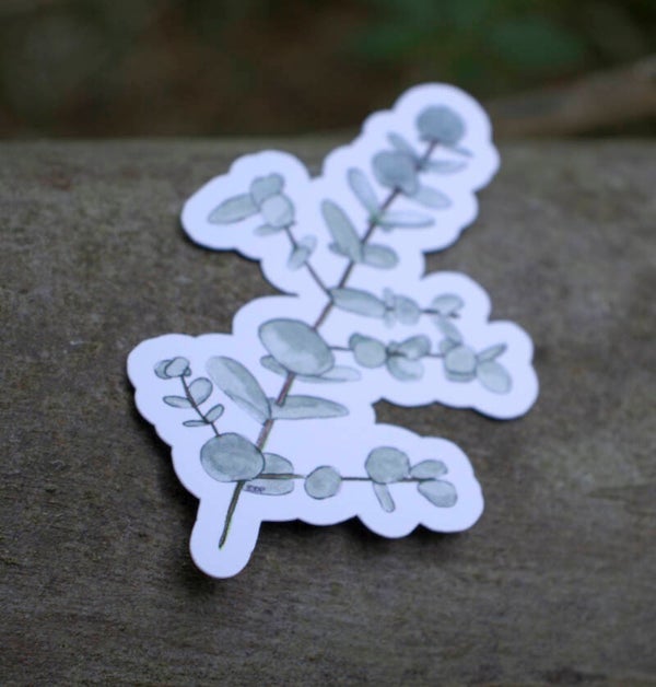EUCALYPTUS - sticker geant