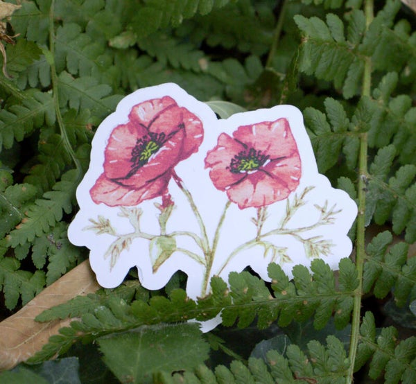 COQUELICOTS - sticker géant