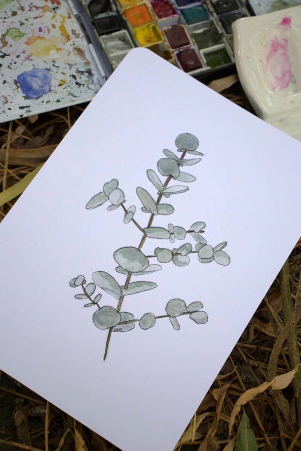 EUCALYPTUS - Cartes plusieurs formats