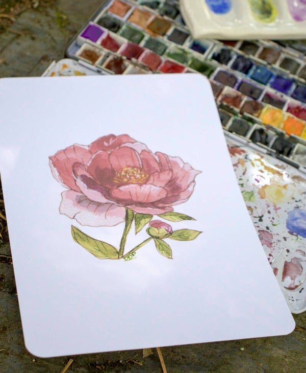 PIVOINE- affiche A4
