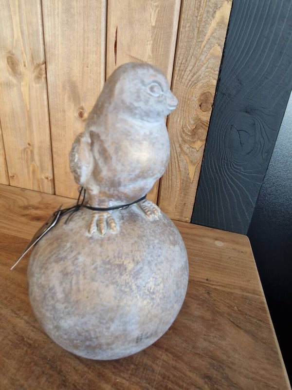 Vogel op bol