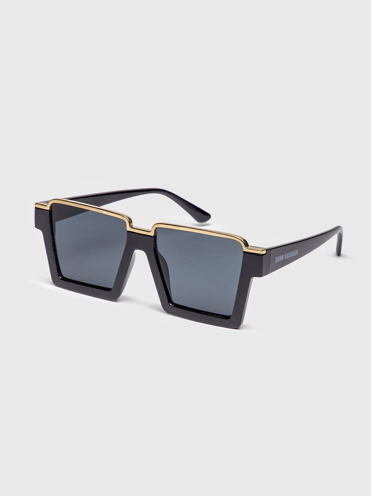 Black Visionary Sunglasses