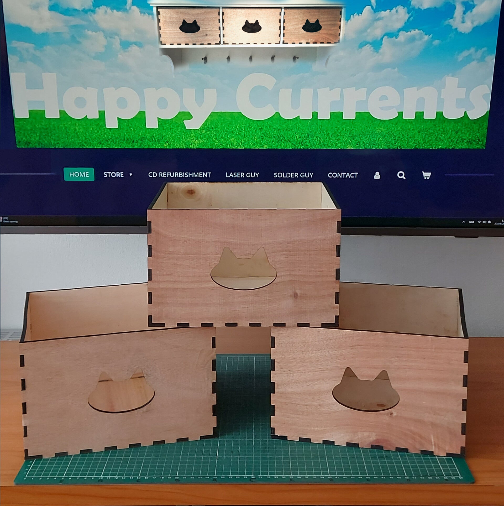 Opbergbakken met kattenfiguurtje