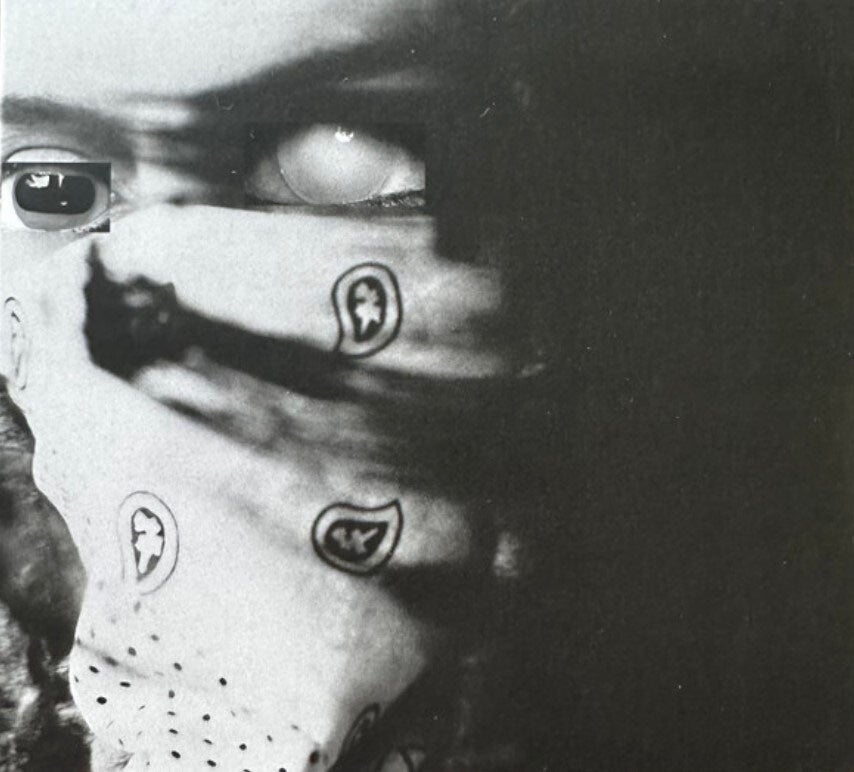 Heron Flow - The Bataclava Diaries