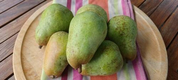 Williams Peer (poire Williams)