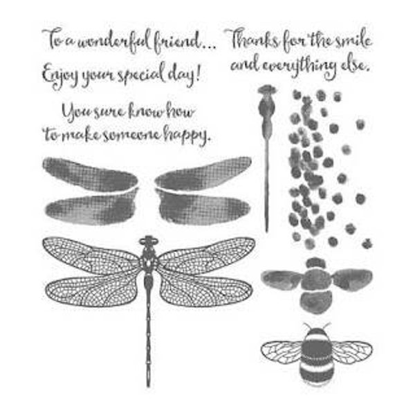 Dragonfly Dreams bundel