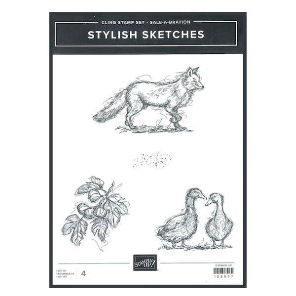 Stylish Sketches