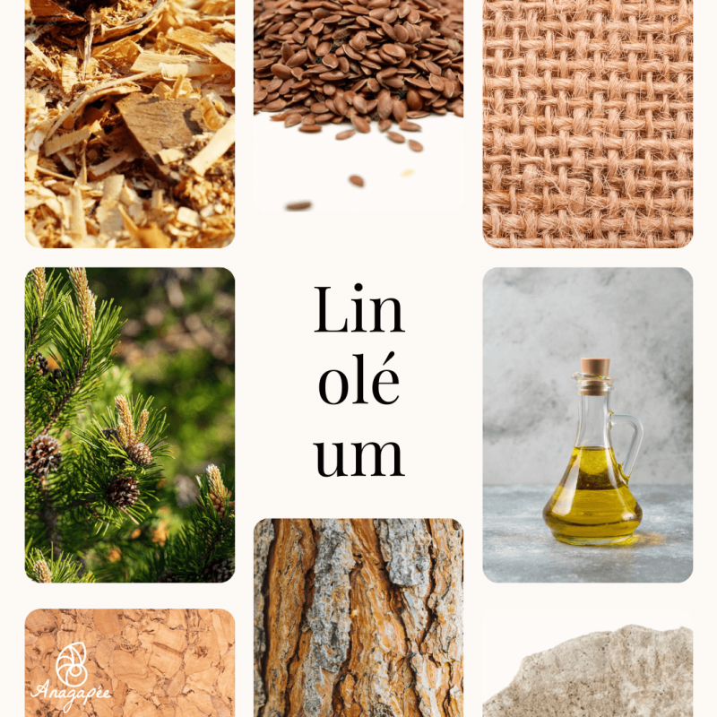 Composition du linoléum, 100% naturels et biodégradable avec une photo pour représenter chaque ingrédient :poudre de bois ou de liège, huile de lin, sève de résineux type colophane, et chaux.