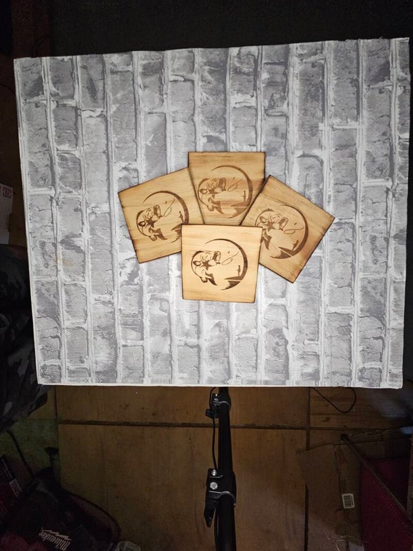 Bass Coasters