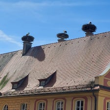 2025-05-14-09-standard.jpg