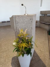 2025-08-14-02-standard.jpg