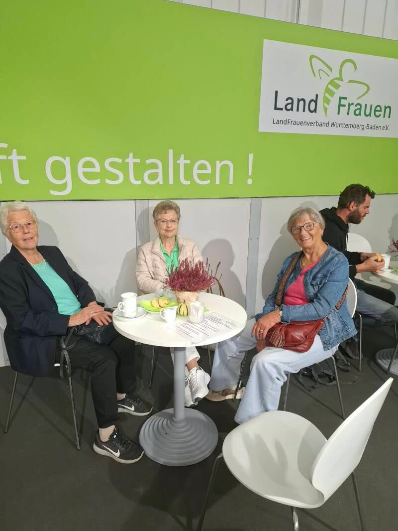 2026-10-02-02-standard.jpg