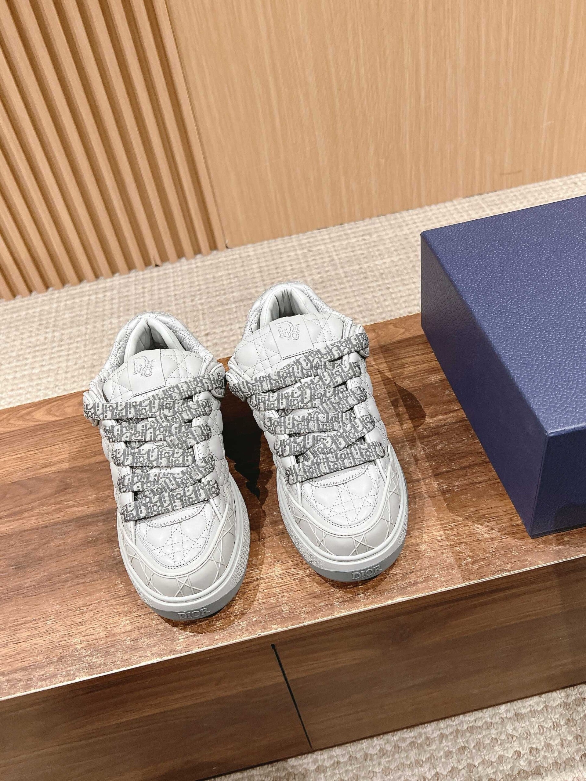 Dior B9S Skater Sneakers