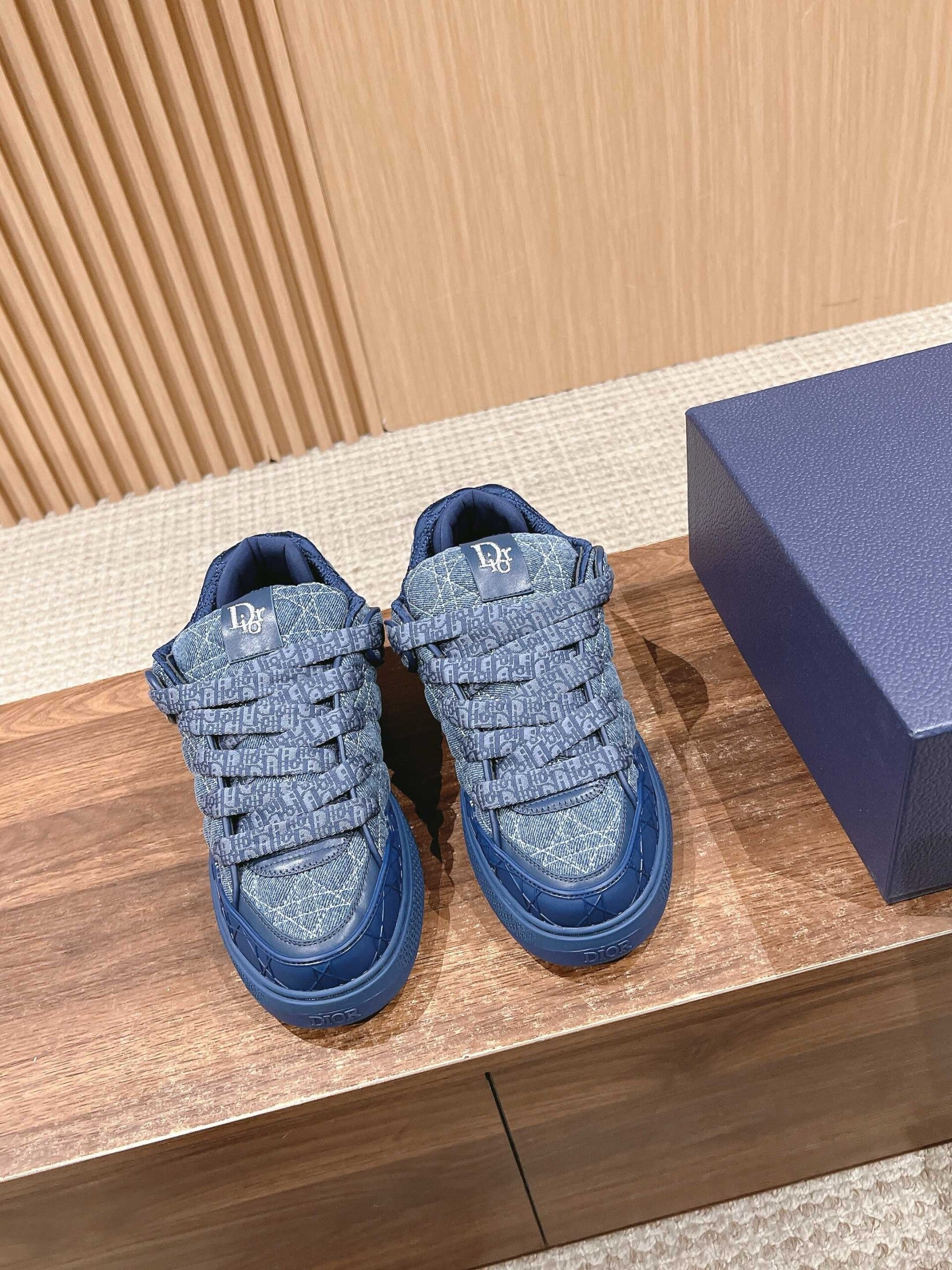 Dior B9S Skater Sneakers