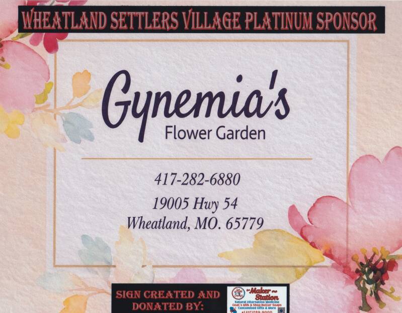 gynemia-s-standard.jpg