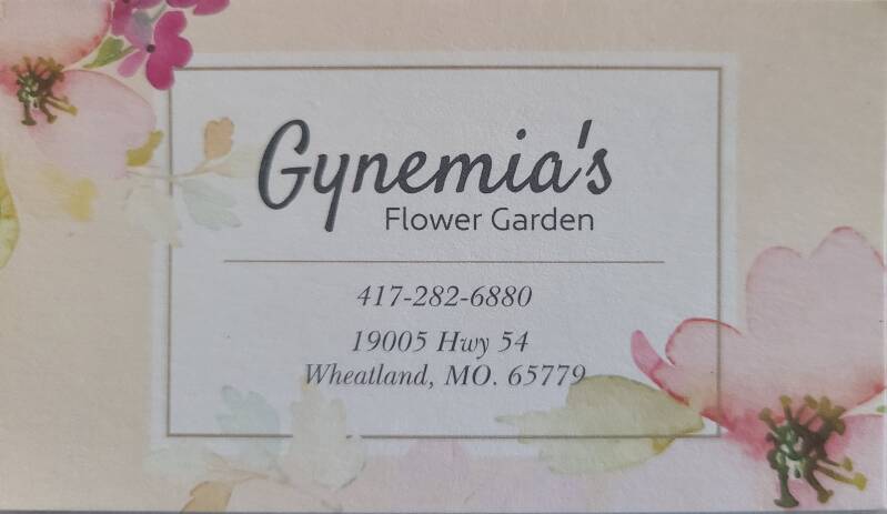 gynemias-standard.jpg