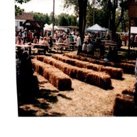 picture3-standard.jpg