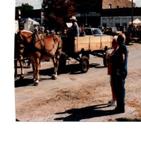 picture6-standard.jpg