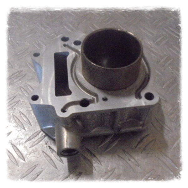 Aprilia Leonardo 125 Rotax Zylinder