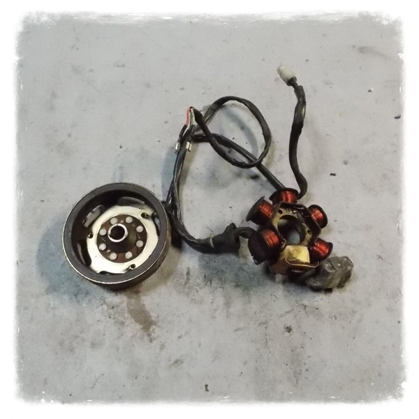 Piaggio free 25/50 Lichtmaschine Polrad Original