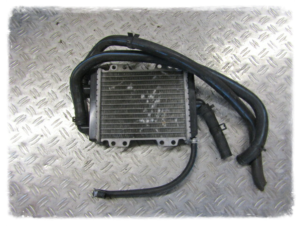 Peugeot Jetforce Kühler