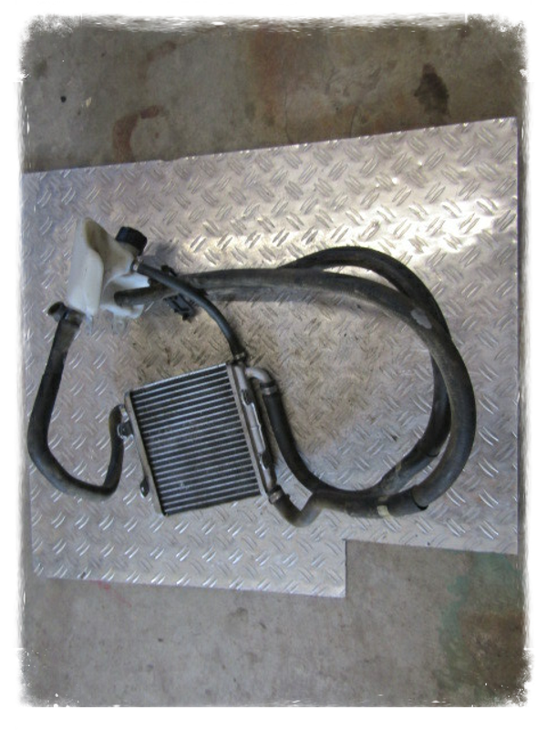 Aprilia SR 50 R Factory 2 T Kühler