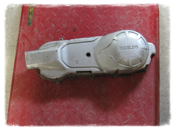 Daelim Delfino 125  Variodeckel