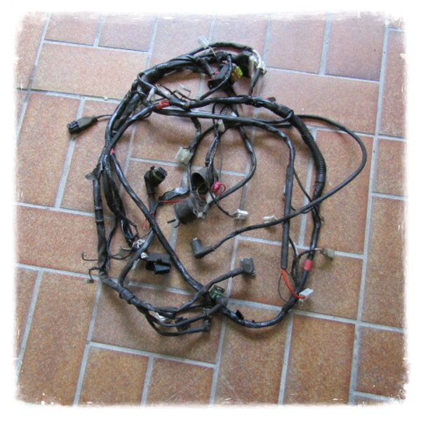 Gilera Runner C 46  Kabelbaum Einspritzer Model