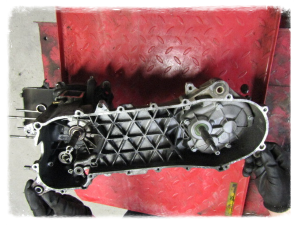 Piaggio NRG Power Motor mit Lima Vergaser Model