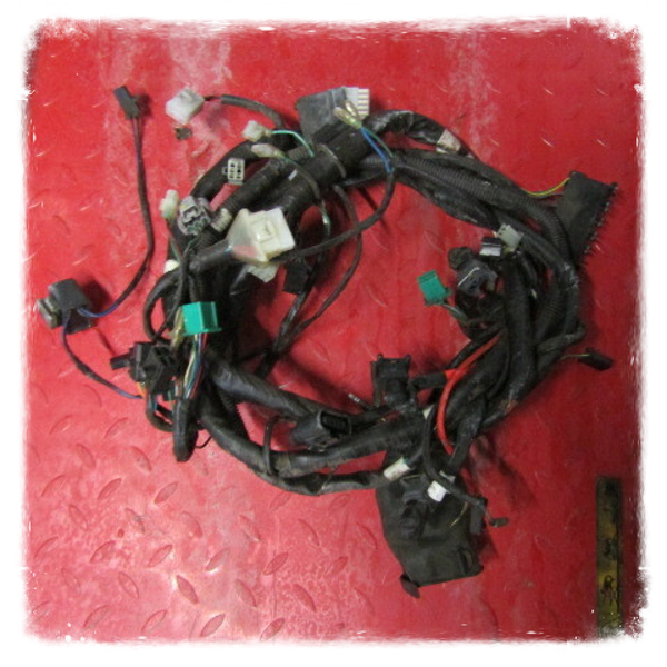 Kymco Yager GT 200 i  Kabelbaum