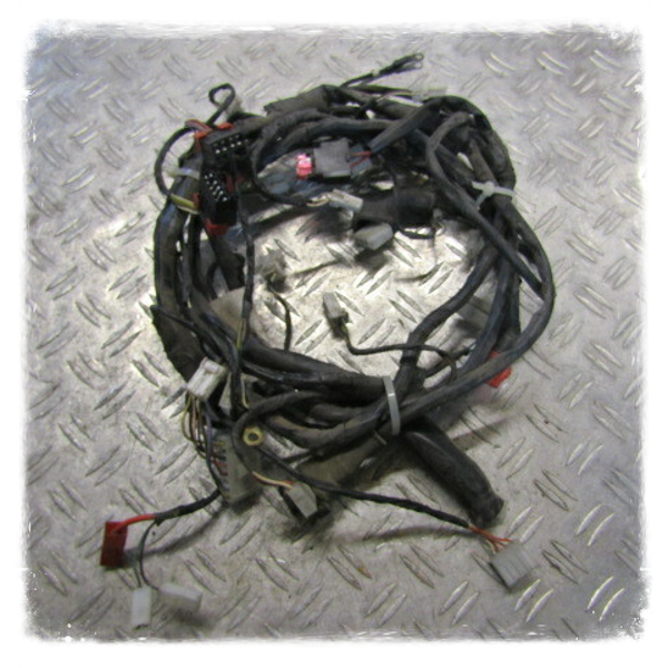 Piaggio Fly 50 2 T Kabelbaum