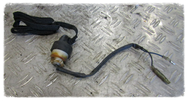 PGO X Ride 150 Notausschalter Schutzschalter