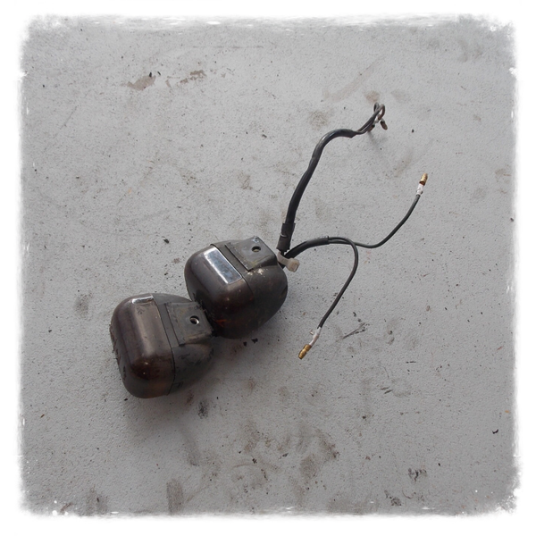 Pegasus Sky Blinker vorne dunkles Glas