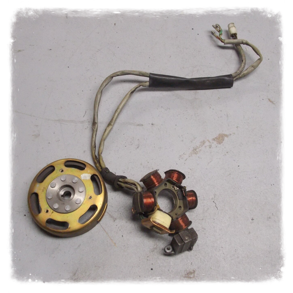 Piaggio Sfera NSL 1 T Lichtmaschine Polrad Original