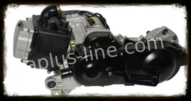 Motorblock 12 Zoll GY6 Vergaser Model kurze Welle NEU