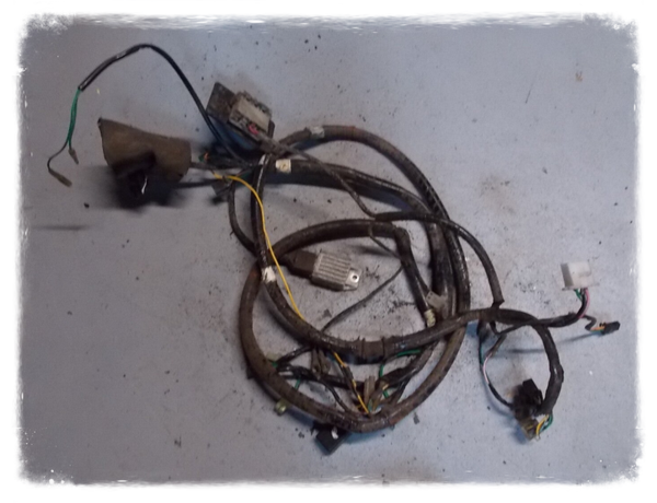 Kymco Yager Spacer 50 Kabelbaum