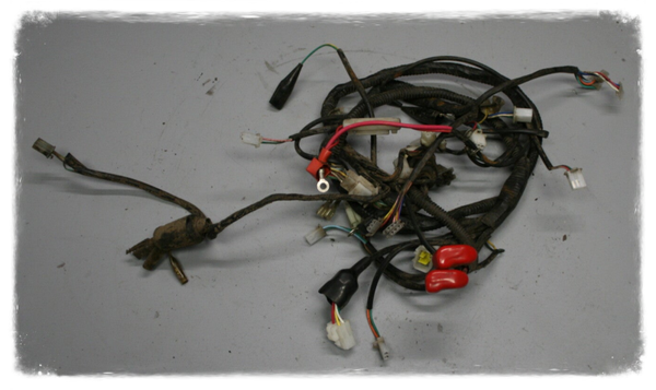 Sachs Bee 2 50 2T Kabelbaum Original