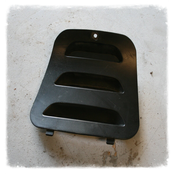 Luxxon Emily 125 Verkleidung Service Klappe Abdeckung