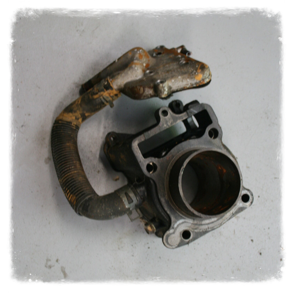 Yamaha Majesty 125 Zylinder Original