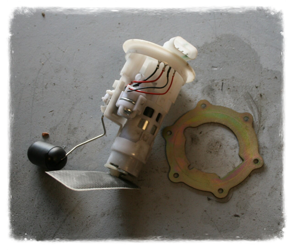 Luxxon Emily 125 Benzinpumpe Elektrisch Schimmer