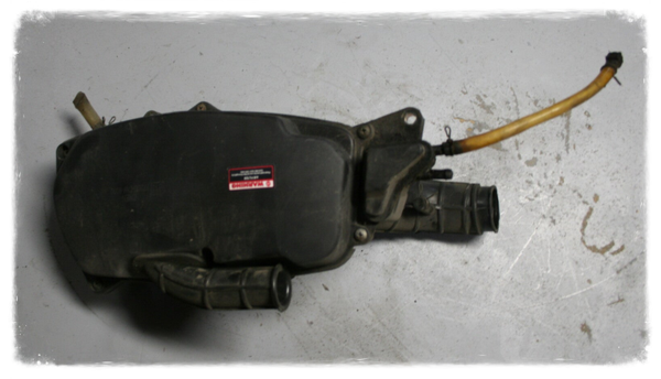 Luxxon Emily 125 Luftfilterkasten