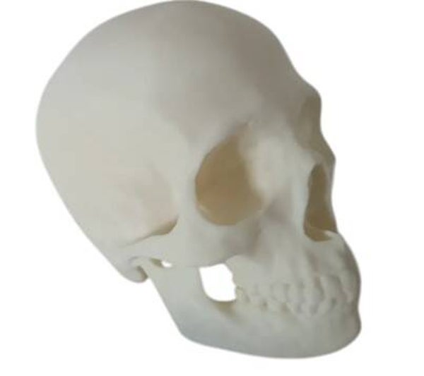 Schedel theelichthouder