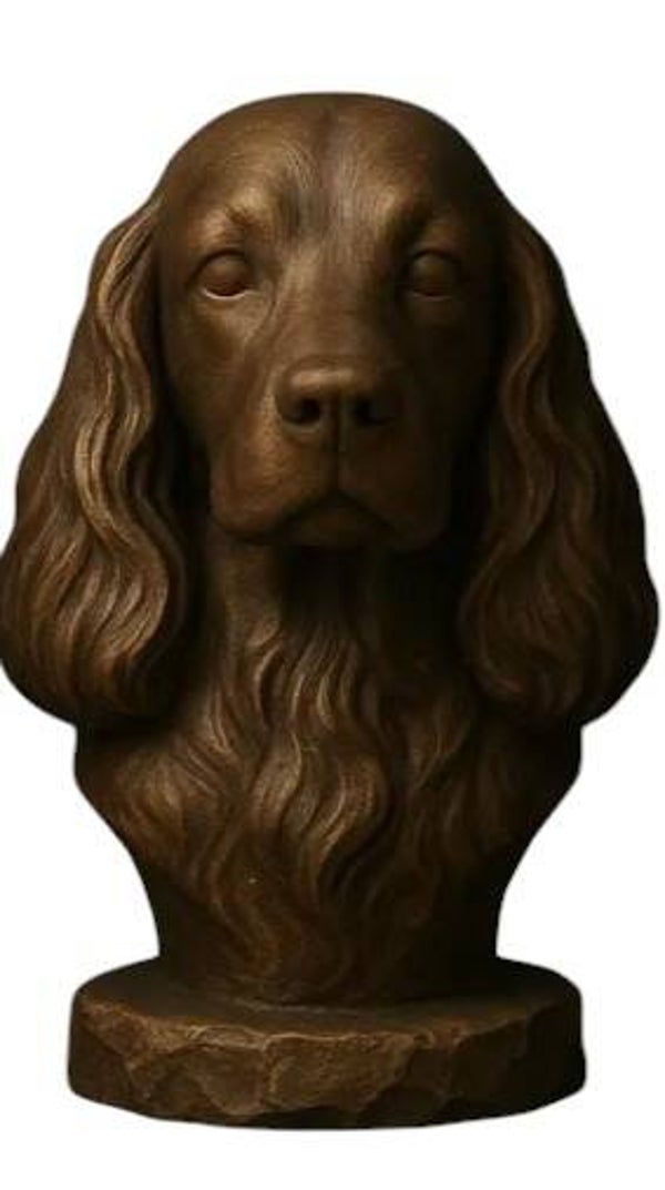 English Cocker Spaniel