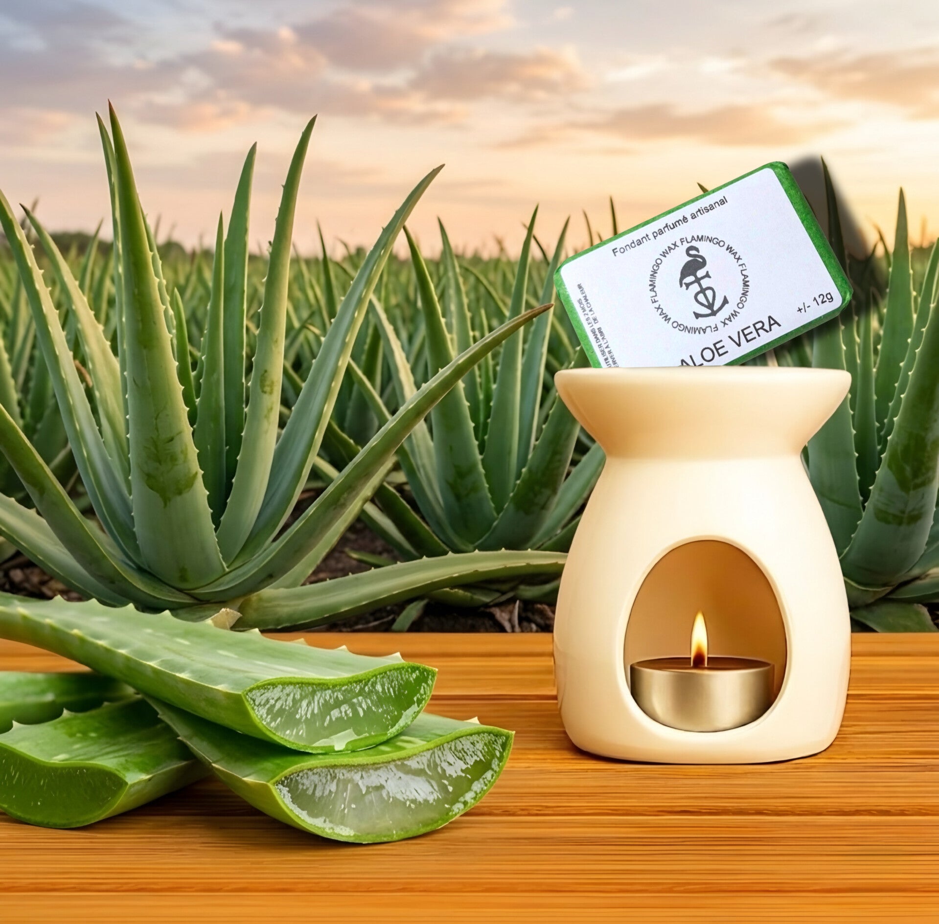 Fondant parfumé Aloe Vera