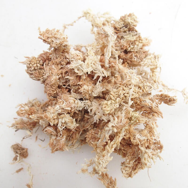 Sphagnum Moos trocken 200 Gramm ca 1 Liter
