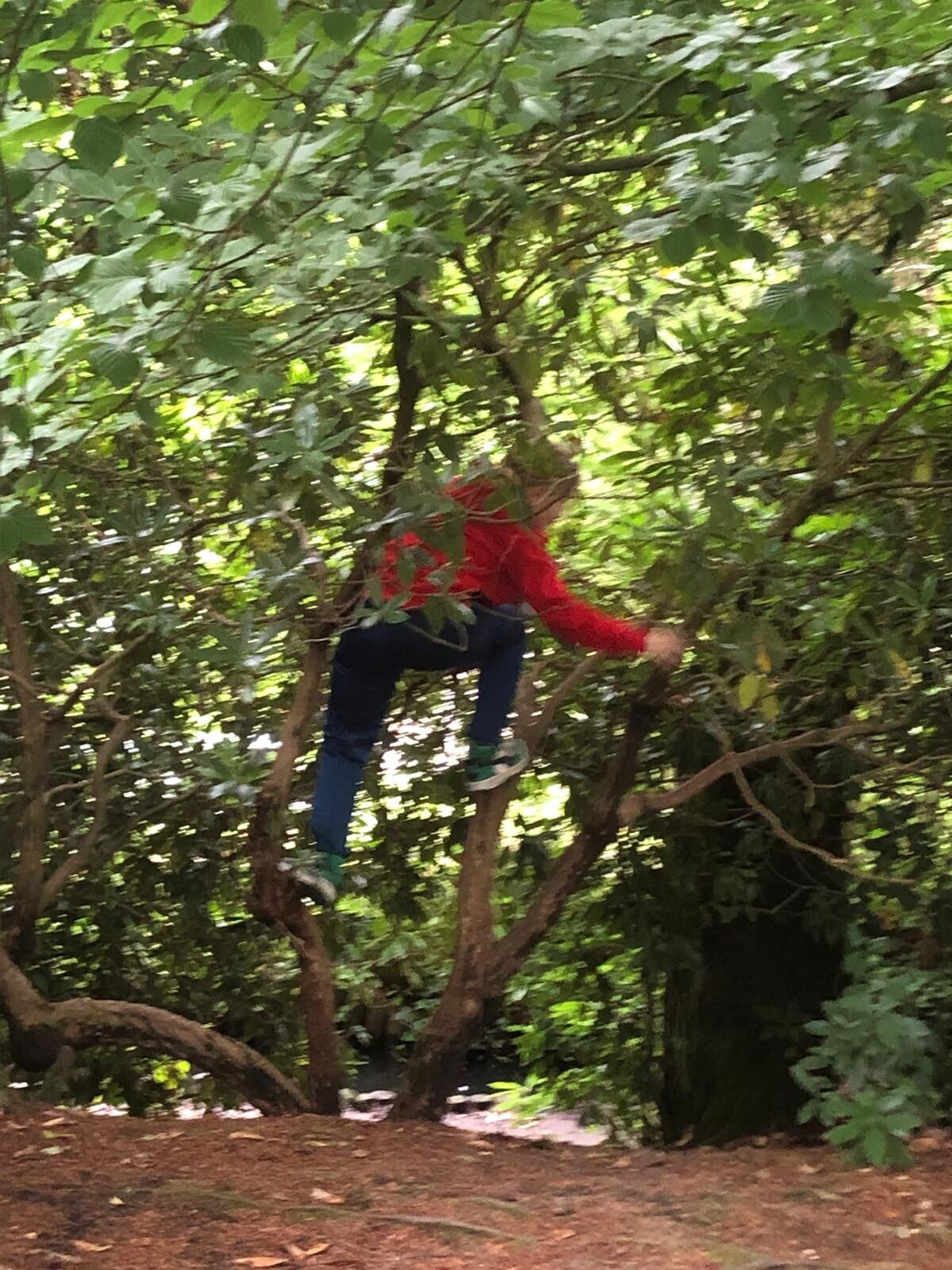 Emma doet graag voetballen, paardrijden en gamen. ook maakt ze graag armbandjes. Emma's armbandjes staat voor betaalbare, handgemaakte armbandjes.