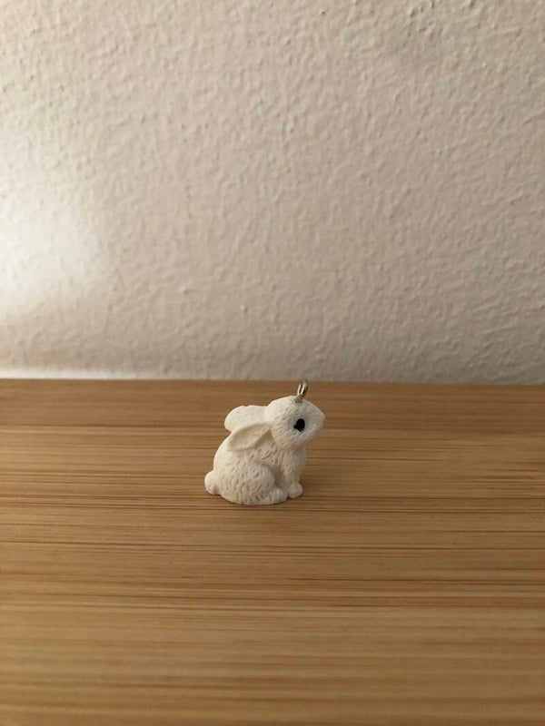 Kies jouw creatie: Bedel Konijn wit
