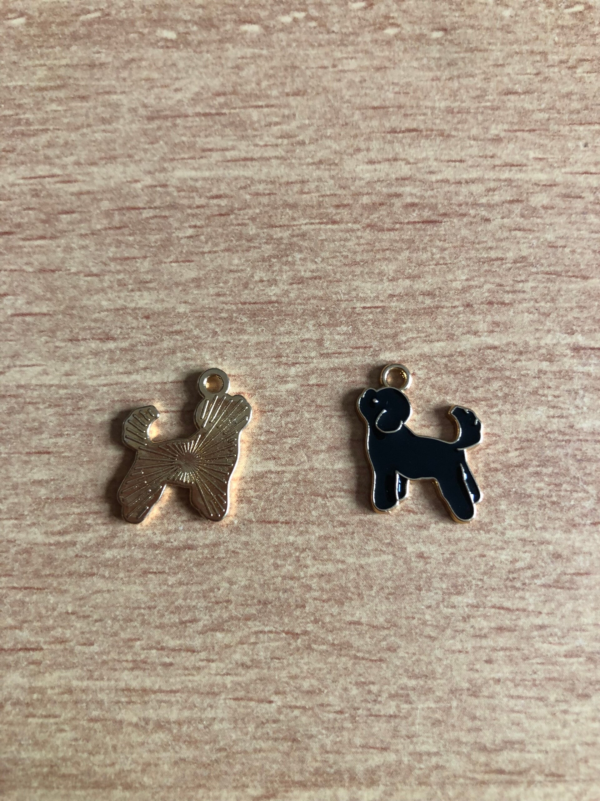 Kies jouw creatie: Bedel Hond zwart