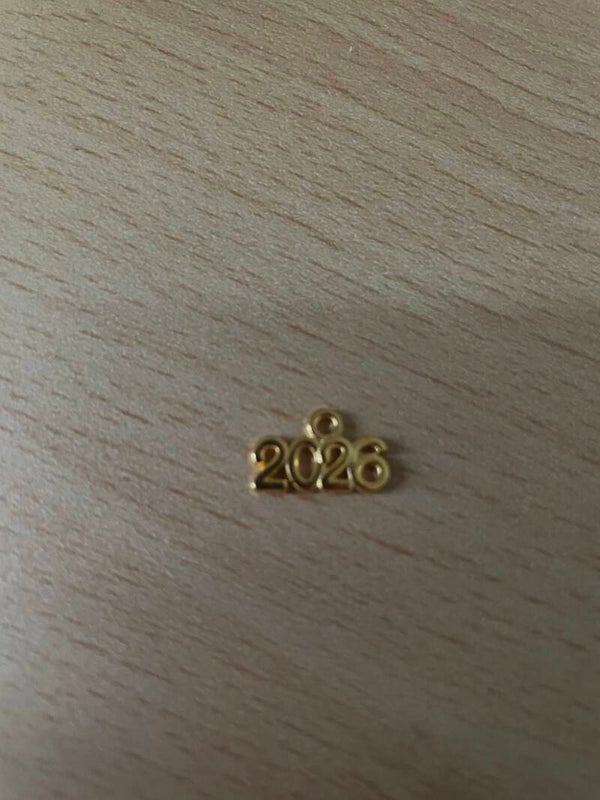 Kies jouw creatie: Bedel 2026 goudkleurig